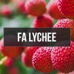 FA Lychee